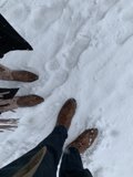 Winter Wonderland