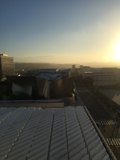 DTLA Evening View