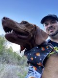 Man and His Canine Companion Enjoy a Sunny Day