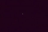 Nocturnal Flight Under Starry Curtains