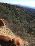 Post Hike View