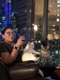 Cozy Evening with Feline Friends