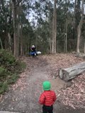 Bonding in Nature: A Walk through the Woods