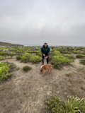Grassland Adventure
