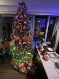 A Cozy Christmas Tree in the San Francisco Cityscape
