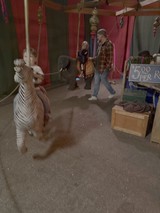 Vintage Carnival Swing Ride in Motion