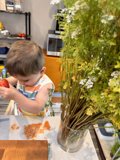 Exploring Nature from the Kitchen