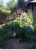Serene Garden Escape