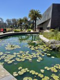 Serenity at the de Young Museum