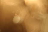 Shrouded in Fog