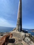 A Canine's View of Jenner Lighthouse