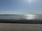 Berkeley's Waterfront Serenity