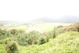 Majestic View of the Green Slope