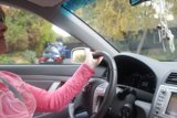 Behind the Wheel