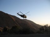 The Majesty of Flight