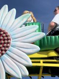 Summer Thrills in Full Bloom