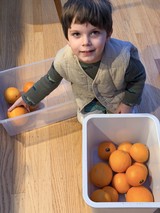 Young Boy Sorting Oranges on Kitchen Floor