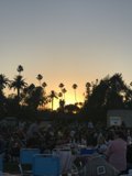 Summer Concert with Palm Trees
