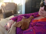 Woman Relaxing on a Couch in a Purple Sweater