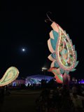 Night Sky Delight