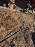Backyard Discovery