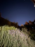 Serenity Under the Stars