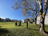 A Day in Duboce Park