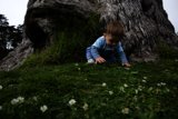 Exploring Nature's Playground