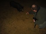 Feeding Time