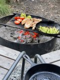 Grilled Chicken and Vegetable Platter