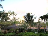 Tropical Oasis with Clock Tower