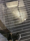 Stepping on the Grate