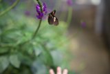 Magical Moments in Nature