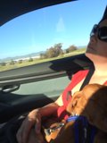 Cruising with my furry companion