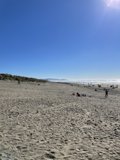 Beach Day Fun