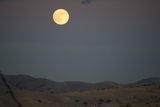 Lunar Majesty Over Walnut Creek