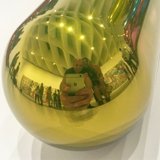 The Golden Selfie