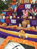 Flower Arrangements at Grand Park Church