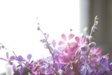 Vibrant Floral Arrangement