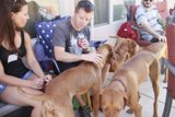 Patio Hangout with Furry Friends