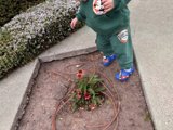Little Gardener in Action