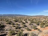 Overlooking the Desert