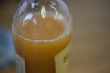 Orange Juice Refreshment