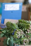 Box of Leafy Greens