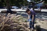 Gardening in the park
