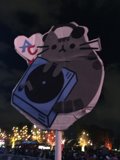 The Night Sky Cat