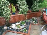Backyard Oasis with Decorative Plants and Rocks