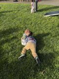 Afternoon Playtime at the Park