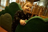 Wesley's Playful Ascend