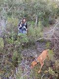 Into the Wilderness